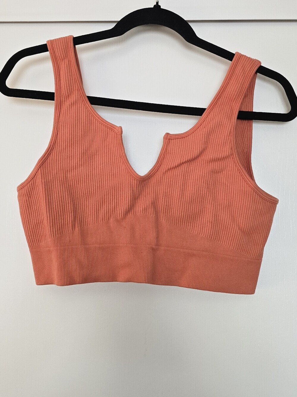 Coral Seamless Notch Neck Ribbed Crop Top